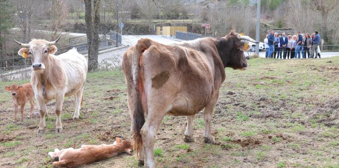 Visita del presidente Lambán a la comarca del Sobrarbe