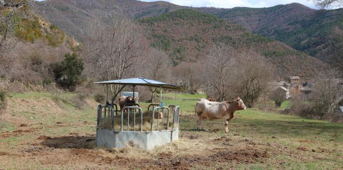 Visita del presidente Lambán a la comarca del Sobrarbe