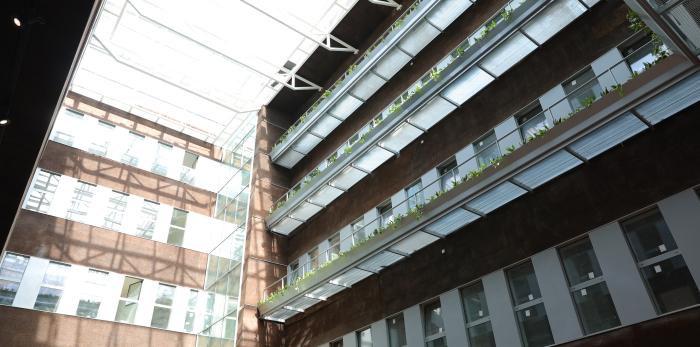 Presentación de las obras del edificio de la Facultad de Filosofía y Letras