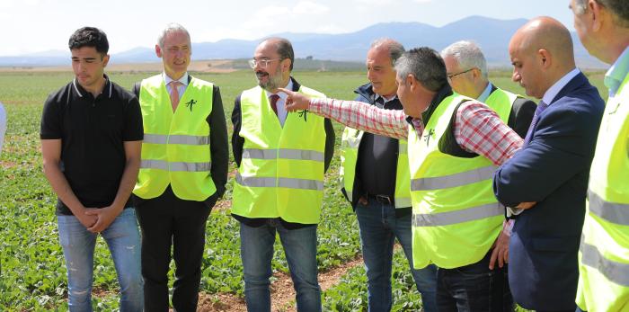 Visita a la empresa Actiture Organic Vegetables de Calatorao
