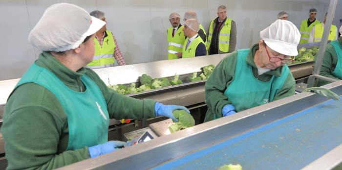 Visita a la empresa Actiture Organic Vegetables de Calatorao