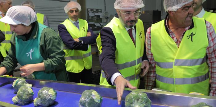 Visita a la empresa Actiture Organic Vegetables de Calatorao