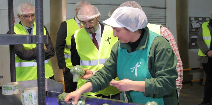Visita a la empresa Actiture Organic Vegetables de Calatorao