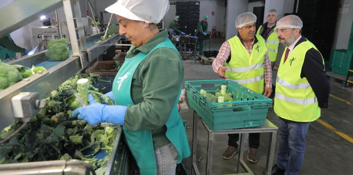 Visita a la empresa Actiture Organic Vegetables de Calatorao