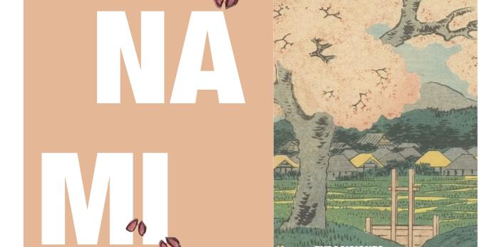 Fiesta de "hanami" en el Museo de Zaragoza