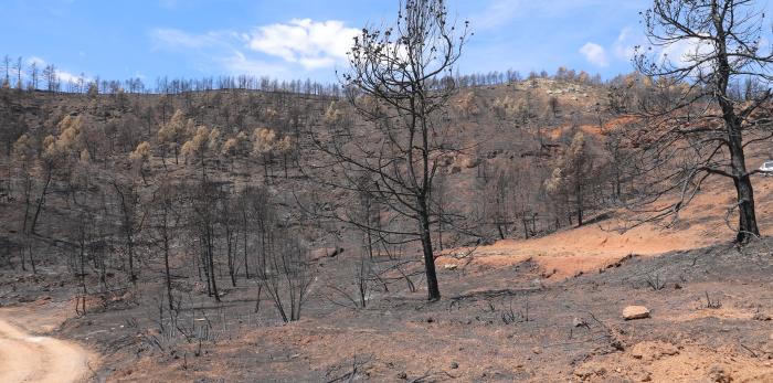 Reunión con los alcaldes por el incendio de San Agustín