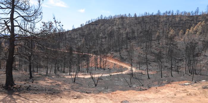 Reunión con los alcaldes por el incendio de San Agustín
