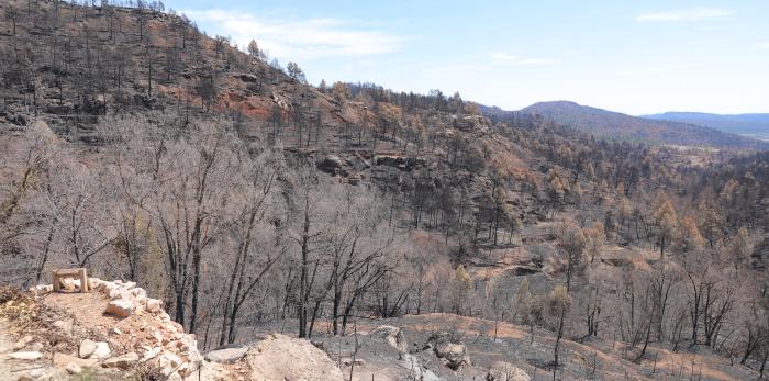 Reunión con los alcaldes por el incendio de San Agustín