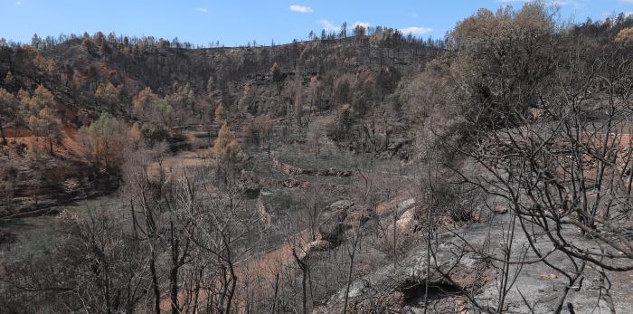 Reunión con los alcaldes por el incendio de San Agustín