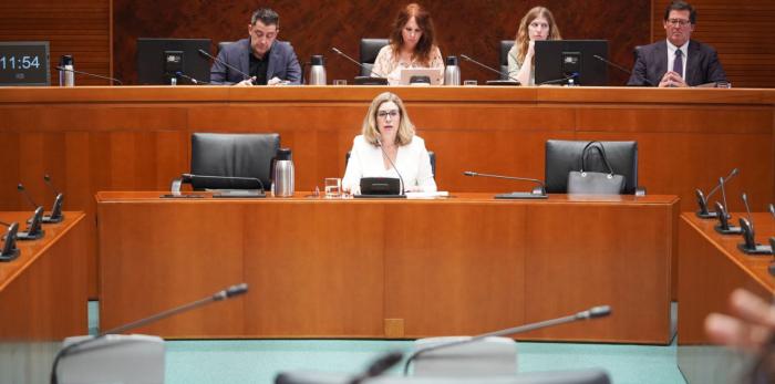 La consejera Claudia Pérez Forniés ha comparecido hoy por primera vez en la Comisión de Educación, Ciencia y Universidades de las Cortes de Aragón.
