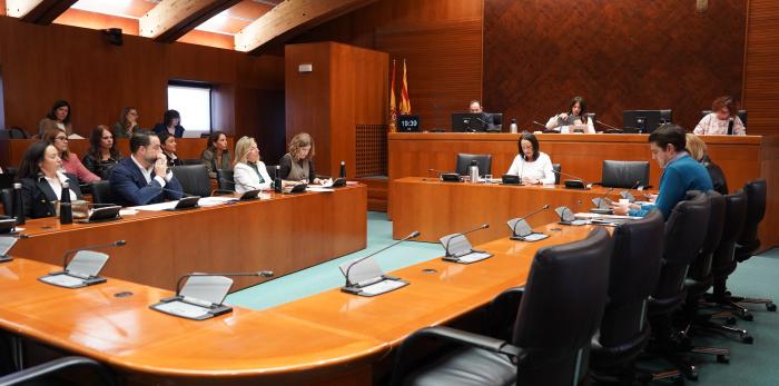 Susín, en la comparecencia sobre Presupuestos en la comisión de Hacienda