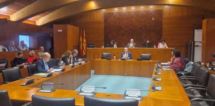 El director general de Asistencia Sanitaria, Ramón Boria, comparece en la Comisión de Sanidad de las Cortes de Aragón