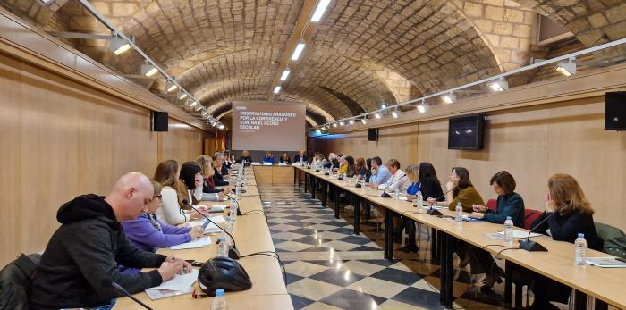 El pleno del Observatorio se ha reunido en la Sala Hermanos Bayeu del Pignatelli.