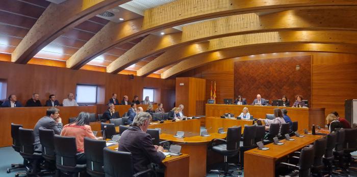 La gerente del Servicio Aragonés de Salud, Ana Castillo, en la Comisión de Sanidad de las Cortes de Aragón.