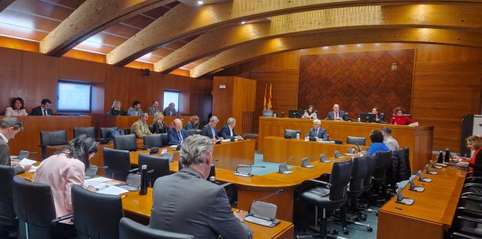 El director general de Salud Digital e Infraestructuras del Gobierno autonómico, Joaquín Velilla, en las Cortes de Aragón