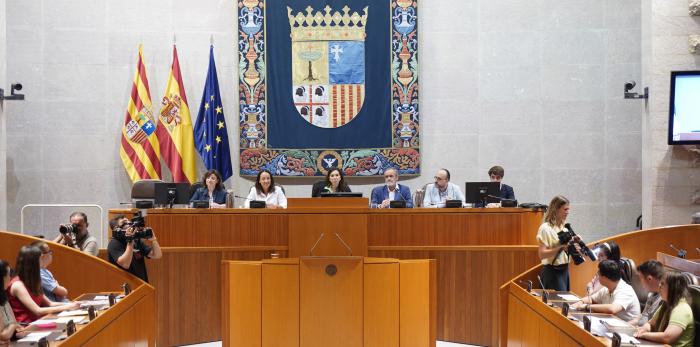 Más de un centenar de personas se han dado cita en el ensayo de 'Los leones del Ebro' para su liga de debate en Madrid