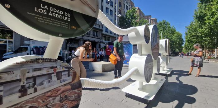 La exposición podrá contemplarse hasta el día 27 en la Gran Vía de Ramón y Cajal.