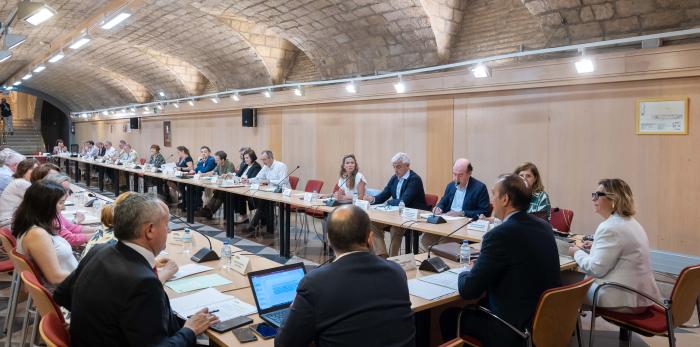 Pleno del Consejo de Salud de Aragón.