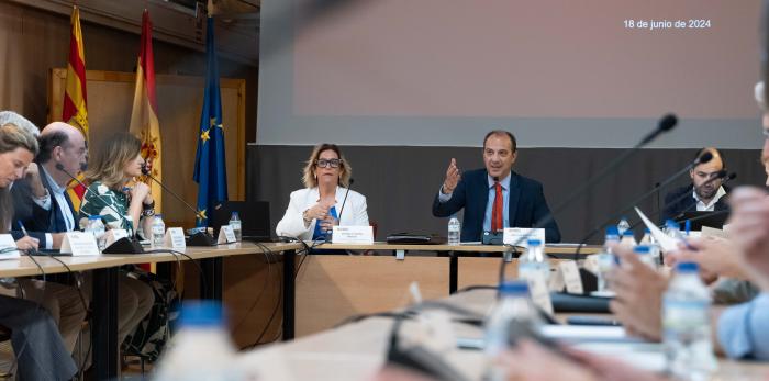 Pleno del Consejo de Salud de Aragón.