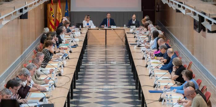 Pleno del Consejo de Salud de Aragón.