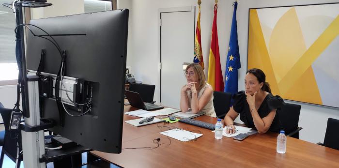 Aragón ha participado vía videoconferencia en la Conferencia Sectorial de la Inmigración este lunes