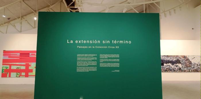 Exposición 'La extensión sin término', con obras de la Colección Circa XX.