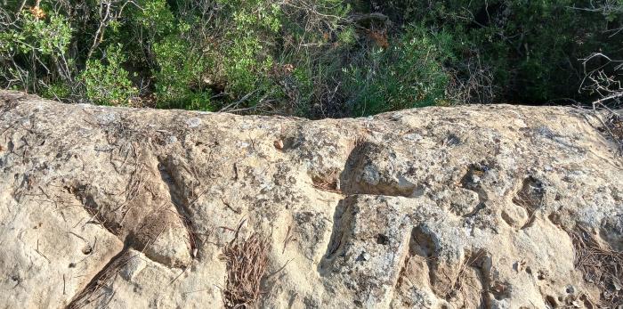 Una de las cruces encontradas sobre piedra en el Monte de Utilidad Pública de Murillo de Gállego