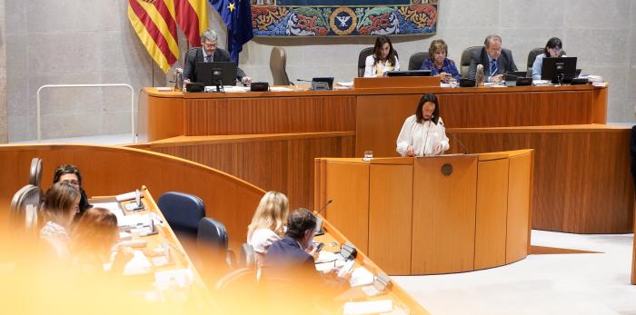 La consejera Susín, en su intervención en las Cortes sobre atención temprana