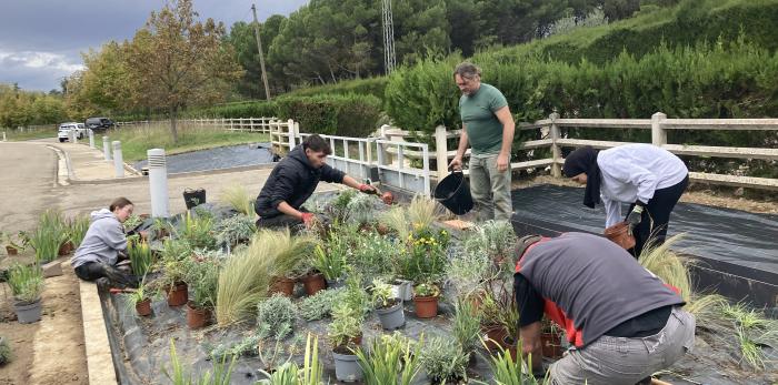 El CDAN presenta este lunes su nuevo jardín seco.