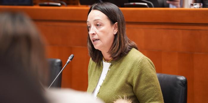 Este martes ha comparecido la consejera Susín ante la comisión de Bienestar Social y Familia