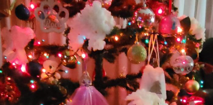 Material de la iniciativa de postales navideñas, dentro del proyecto ‘Lo que nunca te dije’.