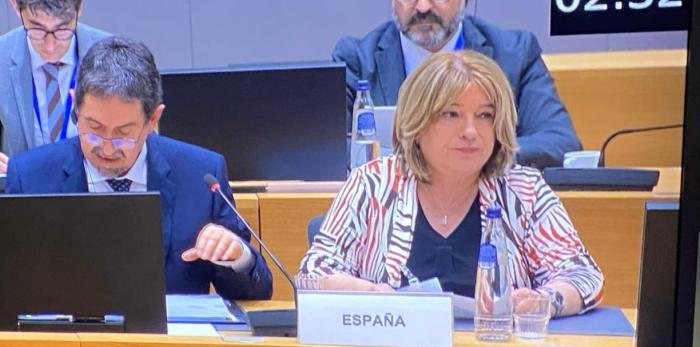 La consejera ha intervenido en el Consejo de Educación de la Unión Europea.