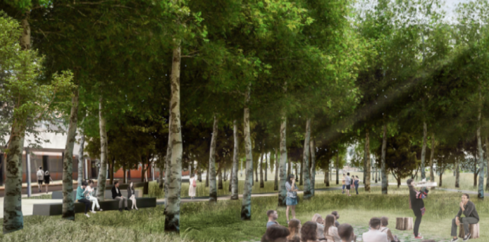 Recreación de los bosques del DAT Alierta