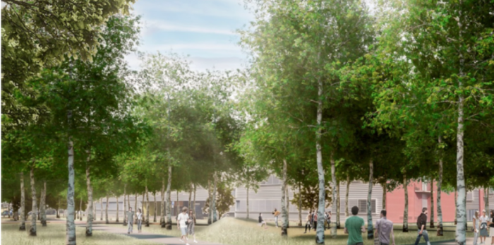 Recreación de los bosques del DAT Alierta