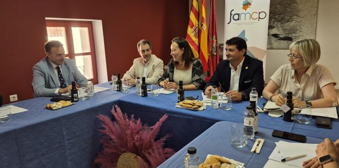 Imagen del artículo Carmen Susín participa en la comisión de localidades de más de 8.000 habitantes de la FAMCP