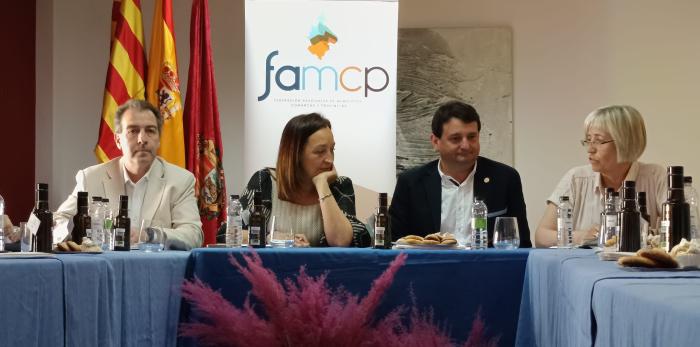 En la comisión se han abordado temas clave para los grandes municipios aragoneses