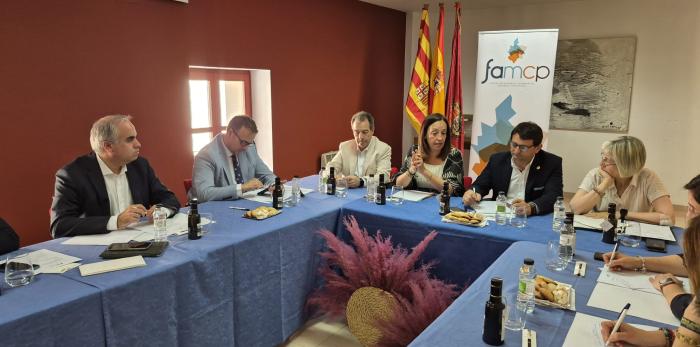 En la comisión se han abordado temas clave para los grandes municipios aragoneses