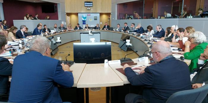 Reunión de la alianza EURegions4cohesioncon los vicepresidentes ejecutivos Fitto y Mînzatu