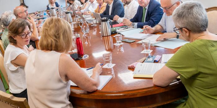 Reunión de la Mesa Sectorial de Sanidad. La directora gerente del Salud, Ana Cristina Castillo.