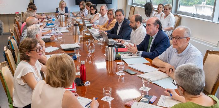 Reunión de la Mesa Sectorial de Sanidad. La directora gerente del Salud, Ana Cristina Castillo.