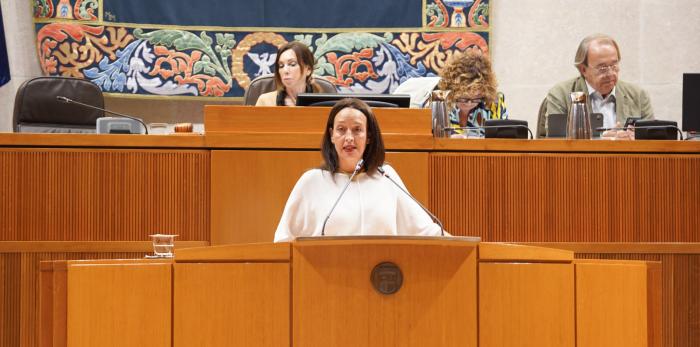 La consejera de Bienestar Social y Familia ha comparecido este jueves en las Cortes