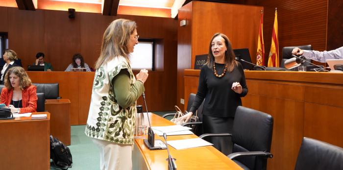 Este martes la Consejera ha comparecido en la comisión de Bienestar Social y Familia en las Cortes