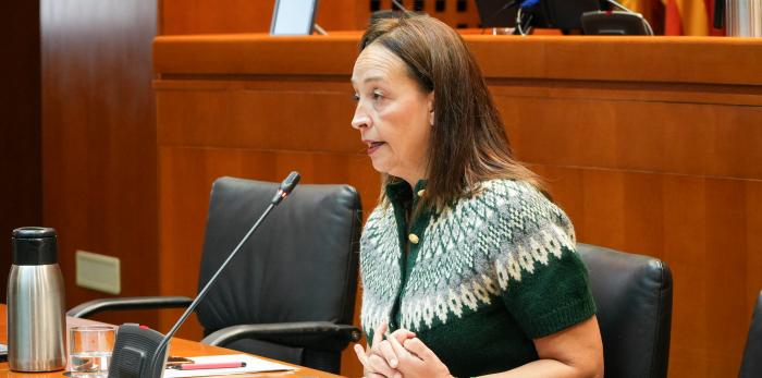 Este martes la Consejera ha comparecido en la comisión de Bienestar Social y Familia de las Cortes de Aragón