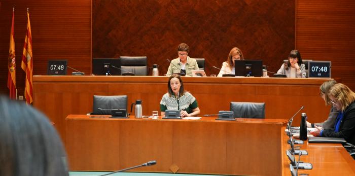 Este martes la Consejera ha comparecido en la comisión de Bienestar Social y Familia de las Cortes de Aragón