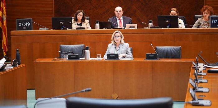 La gerente del SALUD, Ana Castillo, ha comparecido en la Comisión de Sanidad de las Cortes de Aragón