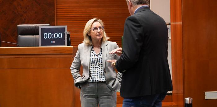 La gerente del SALUD, Ana Castillo, ha comparecido en la Comisión de Sanidad de las Cortes de Aragón