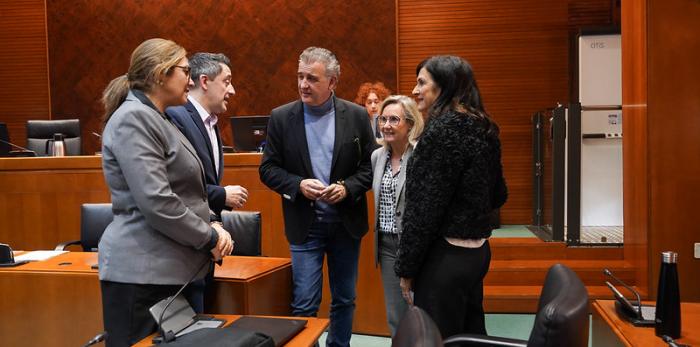 La gerente del SALUD, Ana Castillo, ha comparecido en la Comisión de Sanidad de las Cortes de Aragón