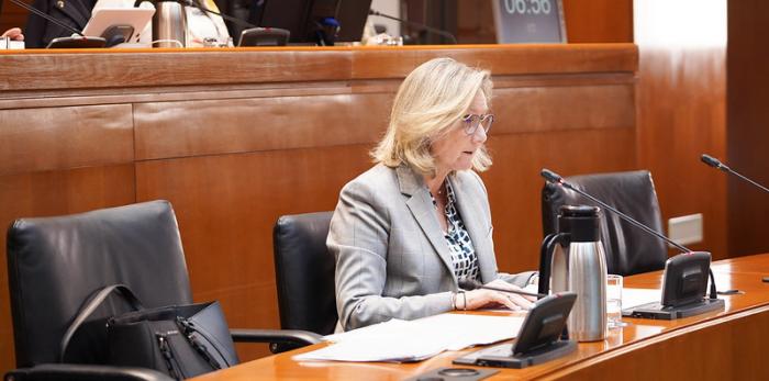 La gerente del SALUD, Ana Castillo, ha comparecido en la Comisión de Sanidad de las Cortes de Aragón