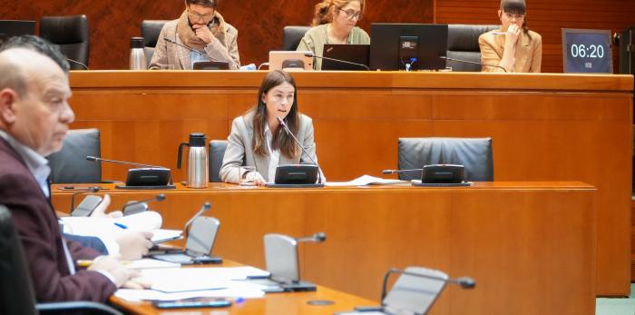 Este martes ha comparecido la directora-gerente del IAJ, Cristina Navarro, en la comisión de Bienestar Social y Familia de las Cortes de Aragón