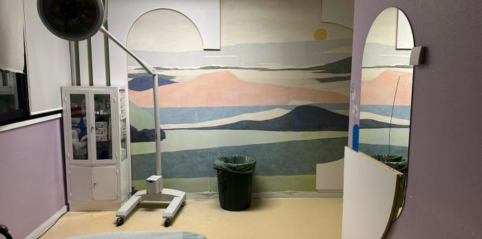 Sala de dilatación del área de partos del Hospital Clínico Universitario Lozano Blesa incluida en el recorrido de la visita guiada.